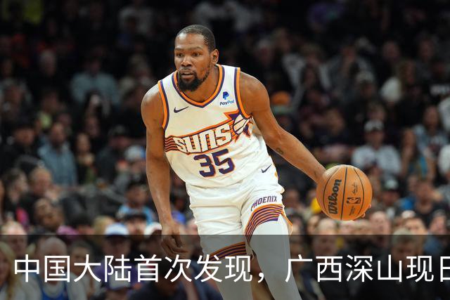 中国大陆首次发现，广西深山现"日本独有兰"，来源至今难解