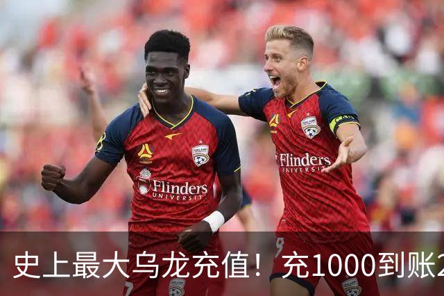 史上最大乌龙充值！充1000到账2641万亿，店主20天花了25万