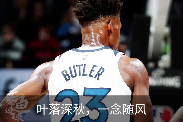 叶落深秋，一念随风