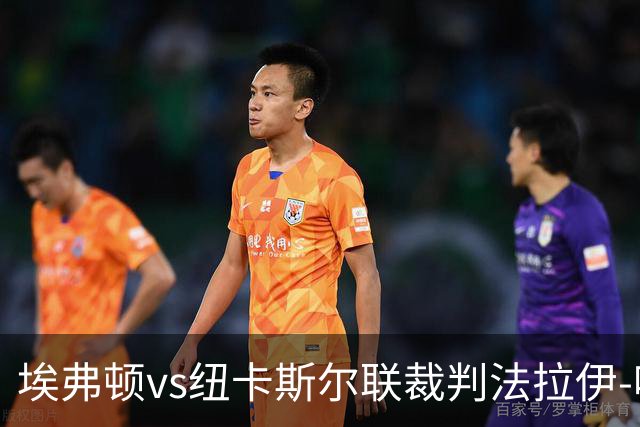 埃弗顿vs纽卡斯尔联裁判法拉伊-哈勒姆数据：近20场0红66黄6点