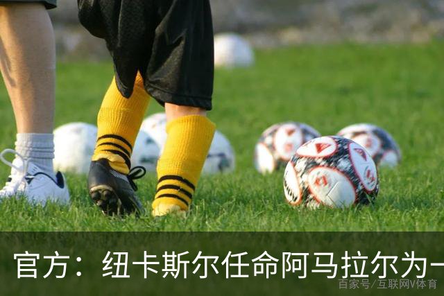 官方：纽卡斯尔任命阿马拉尔为一线队招募主管，向体育总监汇报