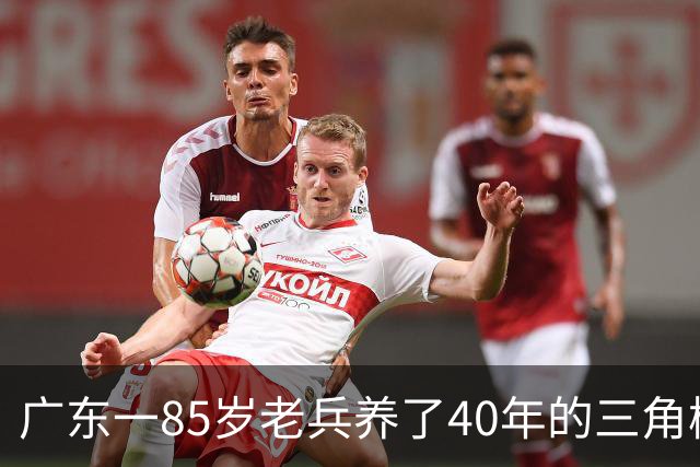 广东一85岁老兵养了40年的三角梅“火了”，开成“浪漫花屋”，网友：看哭了