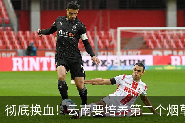 彻底换血！云南要培养第二个烟草产业，它够格接棒吗？
