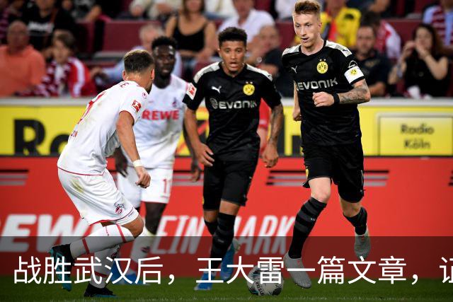 战胜武汉后，王大雷一篇文章，证明了37岁郑铮，在山东足球的地位