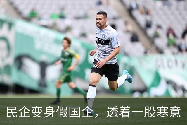 民企变身假国企，透着一股寒意