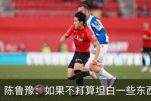 陈鲁豫：如果不打算坦白一些东西，他根本不会来