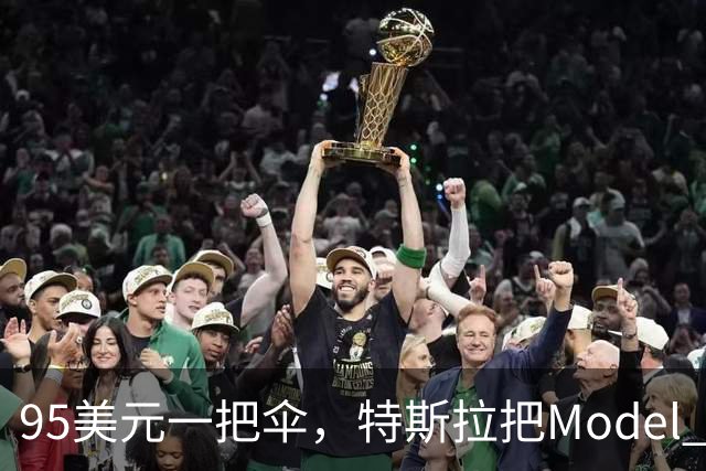 95美元一把伞，特斯拉把Model 3徽标印进了内衬