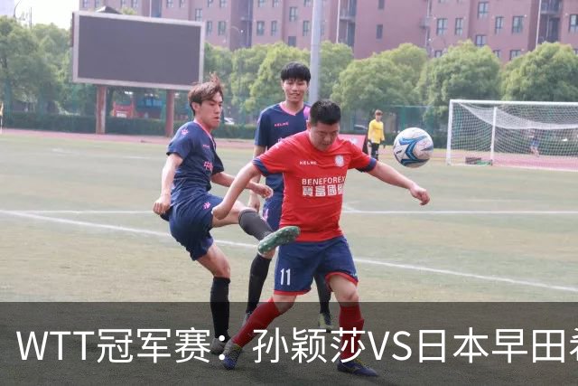 WTT冠军赛：孙颖莎VS日本早田希娜、蒯曼VS日本张本美和、陈熠VS佐藤瞳